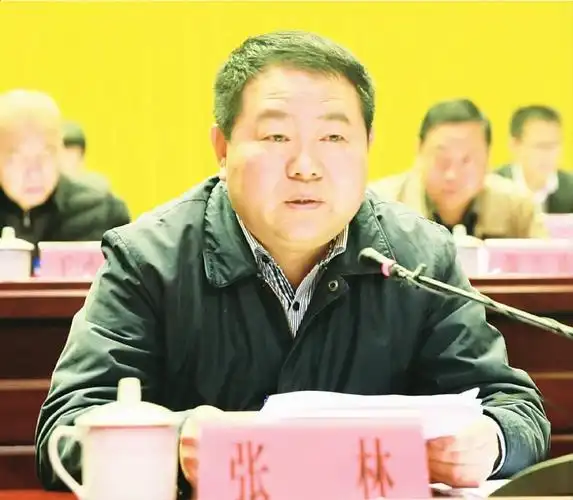 张林在全县重大项目落实年动员暨2016年度科学发展目标考评表彰大会上