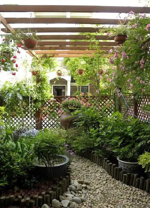 别墅门前建个小花园网友这是造了个小丛林