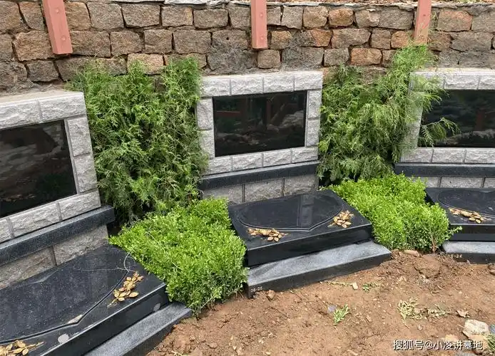 北京长城华人怀思堂与九公山长城纪念林对比:全方位解析