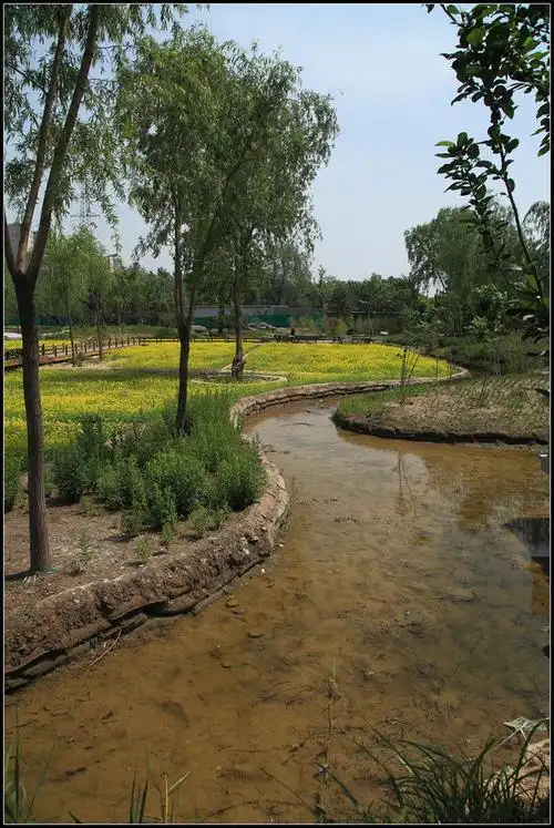 北京海淀区巴沟山水公园随拍.