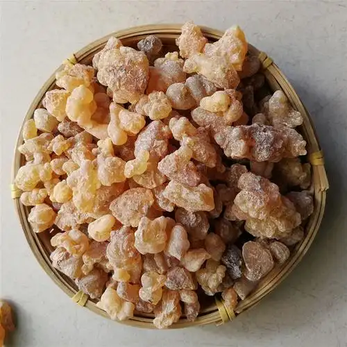 乳香珠 别称-明乳香 乳头香 天泽香 大个乳珠