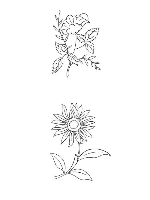 线稿练习37植物