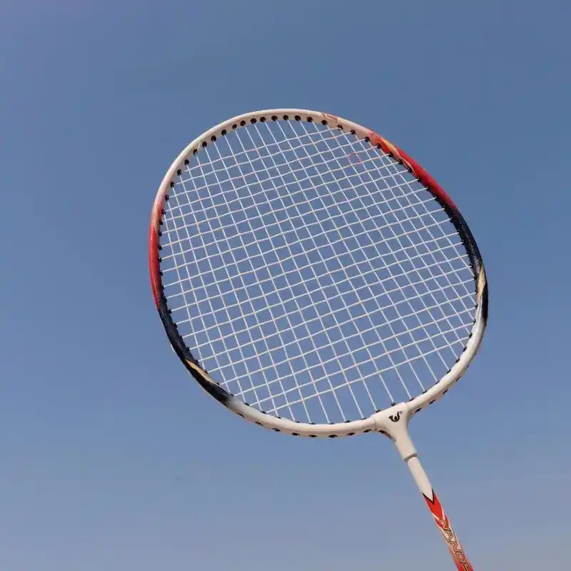 朋友圈分享|今天是运动girl96|羽毛球拍照 96 运不运动不重要