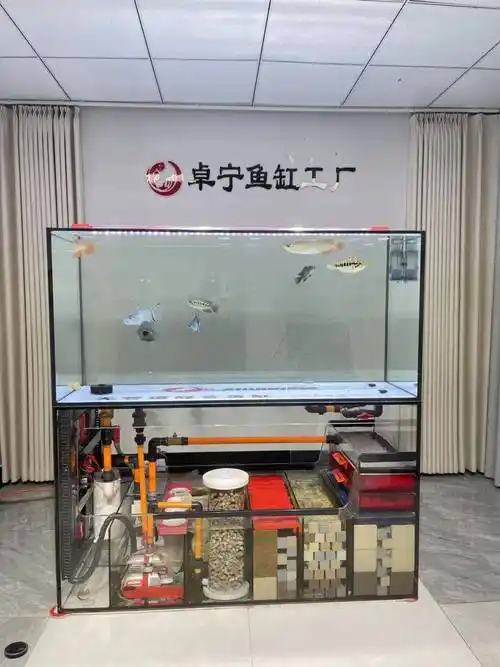 投票啦!看看这些水族创新设计,有您喜欢且需要的吗?为它们投票吧!