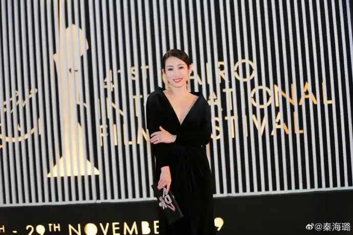 电影有着超越国籍的力量,十多天的开罗国际电影节之