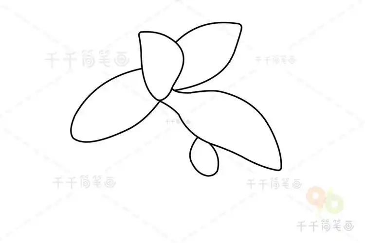 非洲冰草简笔画步骤图