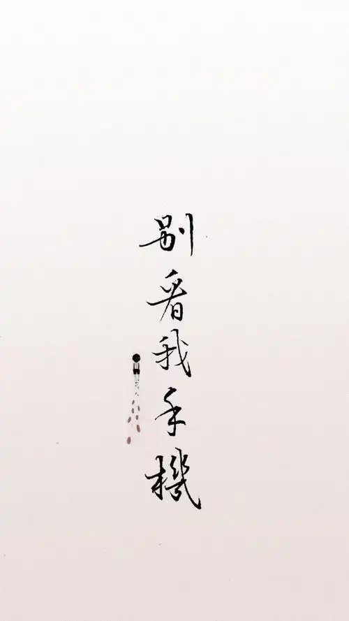 day29 总有那么些人喜欢偷看别人聊天 真的烦 送大家两张壁纸 别看我