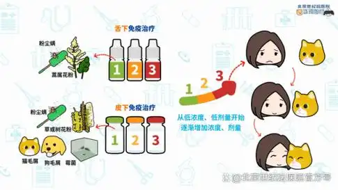 科普动画如何与过敏原共处说说过敏原特异性免疫治疗