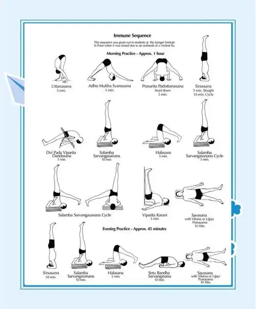增强免疫力的瑜伽序列:初学者如何入门?