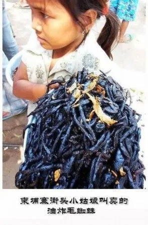 世界各国最恶心最残忍吃法