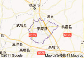 德州市平原县概况