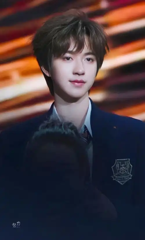 努力是贺峻霖的