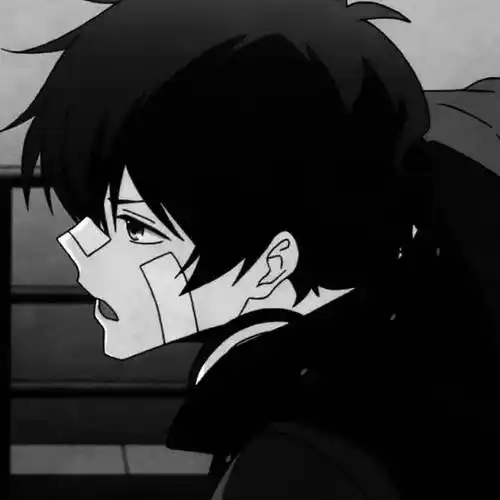 ins超火·暗黑系·动漫男生头像:失望攒够了,也就放手了!