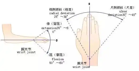 骨科基础 | 关节活动度记录方法-中立位零度法