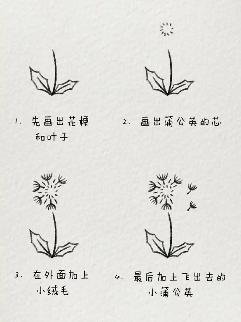 超简单的蒲公英简笔画|随风而往🎈 做一颗蒲公英吧,风起而行,风静而