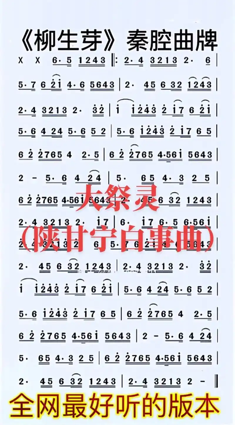 大祭灵《陕甘宁白事曲》#民间唢呐非物质文化遗产传承  - 抖音