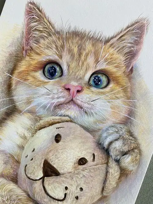 彩铅猫