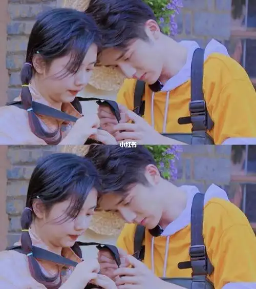 奉天成韵_谭松韵_谭松韵张新成_娱乐_明星娱乐资讯