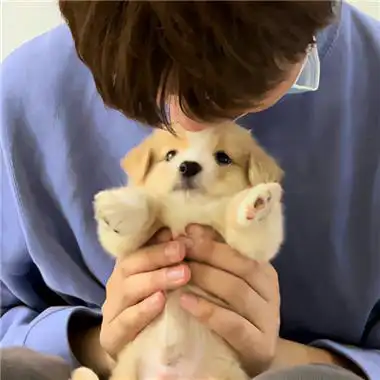 甜到心坎上虐死单身狗的情侣头像