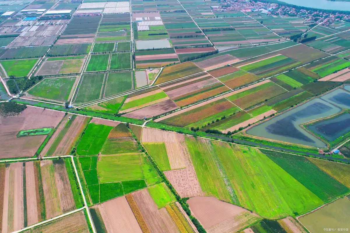 农村土地分田到户的主要目的是什么?并非完全为了提高粮食产量