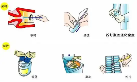 液基薄层细胞制片机-液基薄层细胞制片机 辽宁液基薄层离心机厂家 液