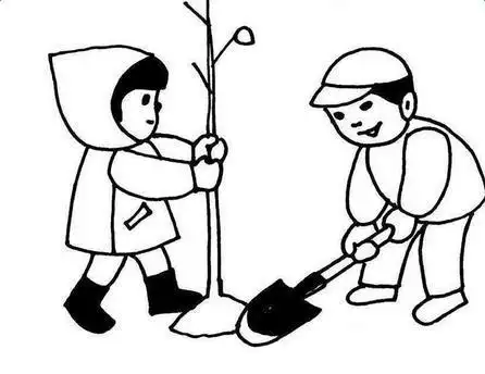 节简笔画一学就会视频教程植树节简笔画植树节绘画作品简单又漂亮step