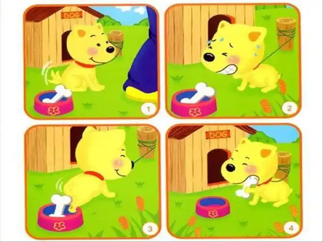 在家如何教孩子看图说话呢?