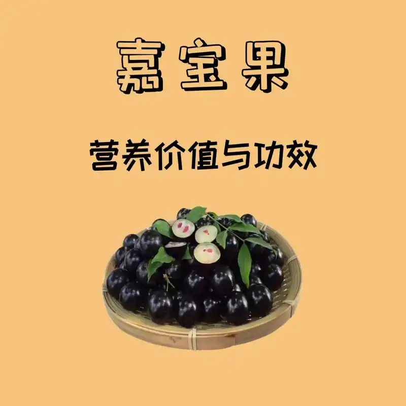 100种水果的营养-嘉宝果9661536615 96嘉宝果,原产于南美洲