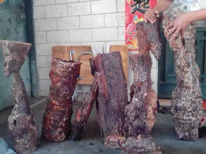 花梨母风光多年,花梨公也该露露脸了