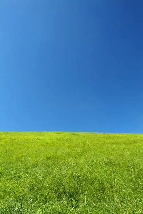 草地,草坪,美景,植物,地平线,景观,辽阔,地面,娱乐,草,蓝色,绿色,蓝天