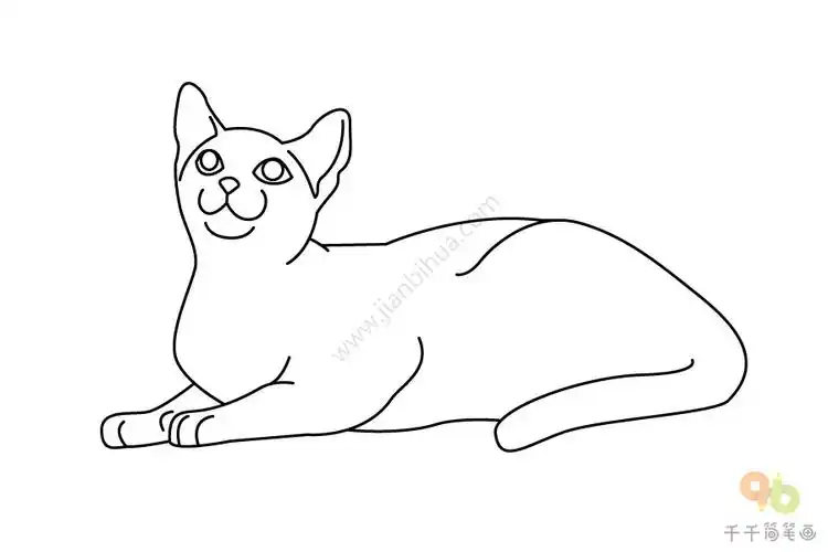 俄罗斯蓝猫简笔画教程