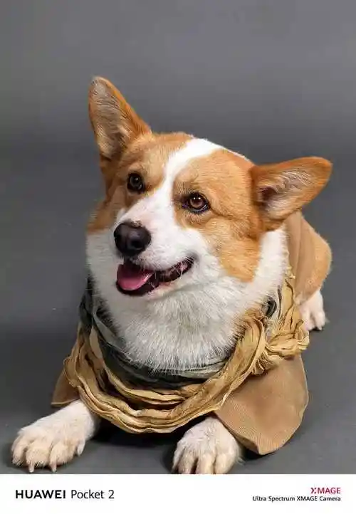 690_997竖版 竖屏