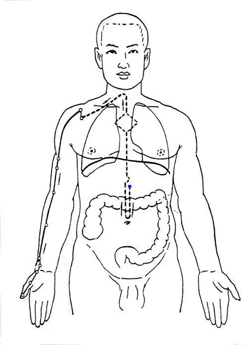 大周天运行图内视十二经络行气运行路线图