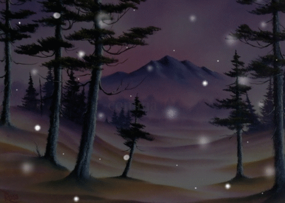 600_428gif 动态图 动图