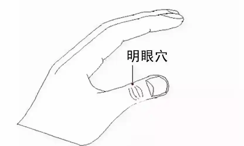 颈动脉窦不要乱按,按错了可能出人命!