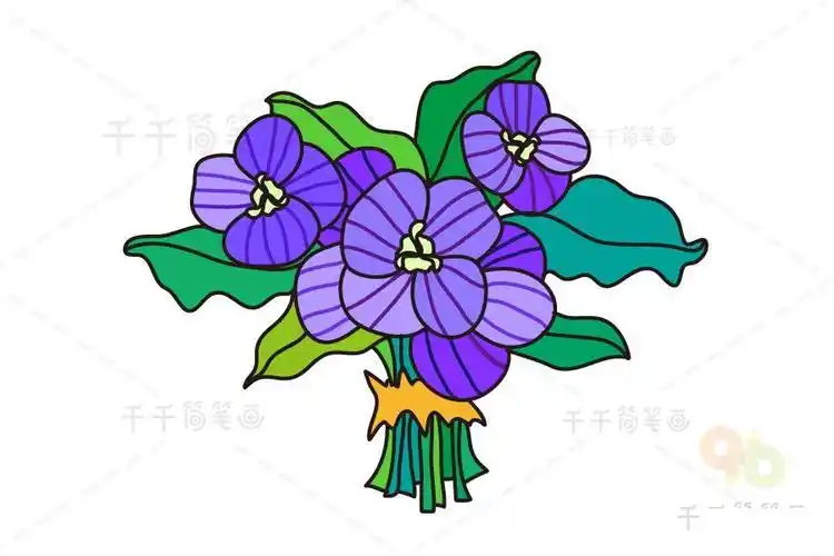 婆婆纳花的简笔画