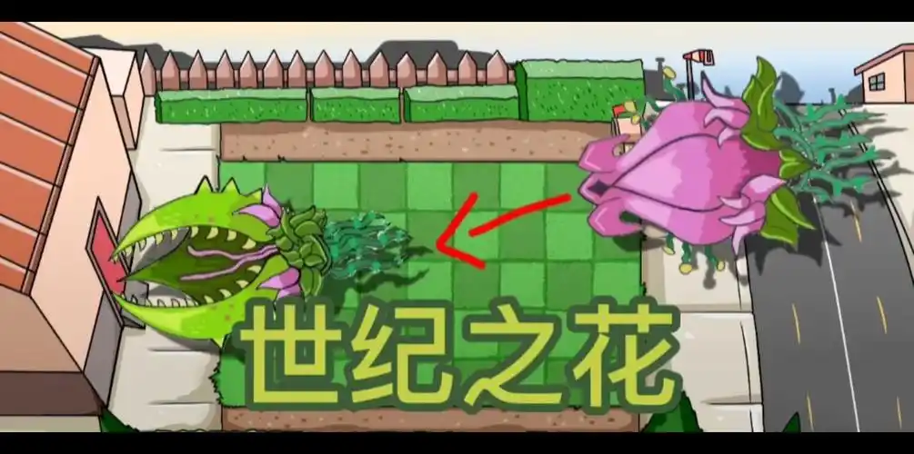 pvzbt世纪之花