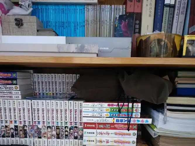 七夕日常之晒晒我的书柜:七夕晒书