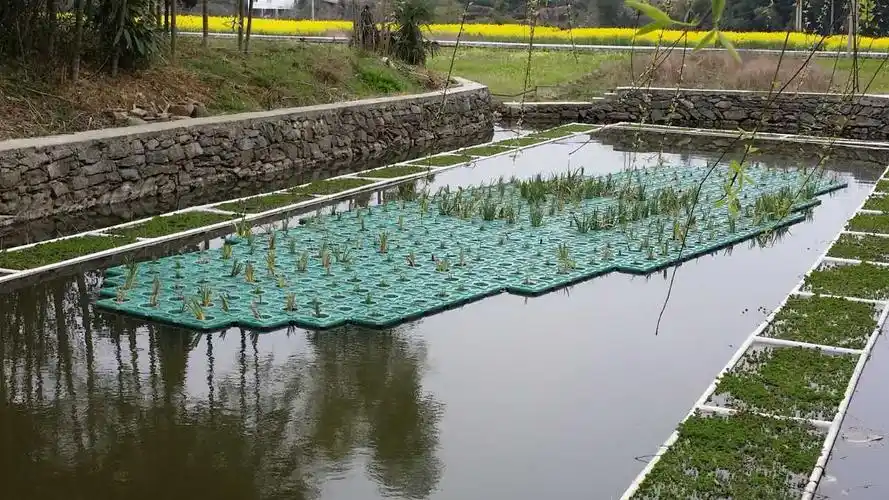 16年年底我公司在安徽祁门县闪里镇新农村小型水体生态修复现场图