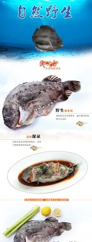 爱吃鱼 冰岛海参斑鱼 1000g-1500g 袋装