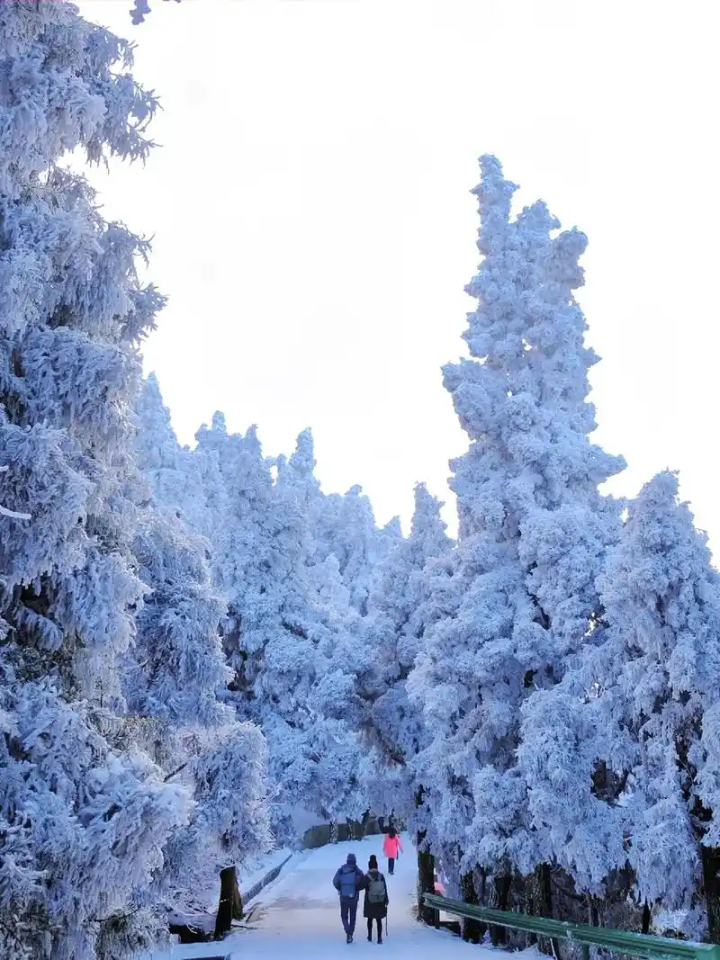 下周末下雪!衡山莽山庐山!广深出发怎么选.最新气象显示: 1 - 抖音