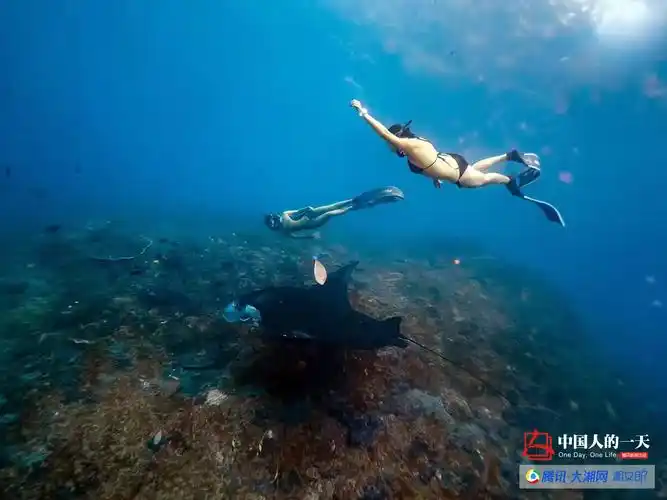 90后湘妹子弃高薪做潜水教练 大二已买车买房