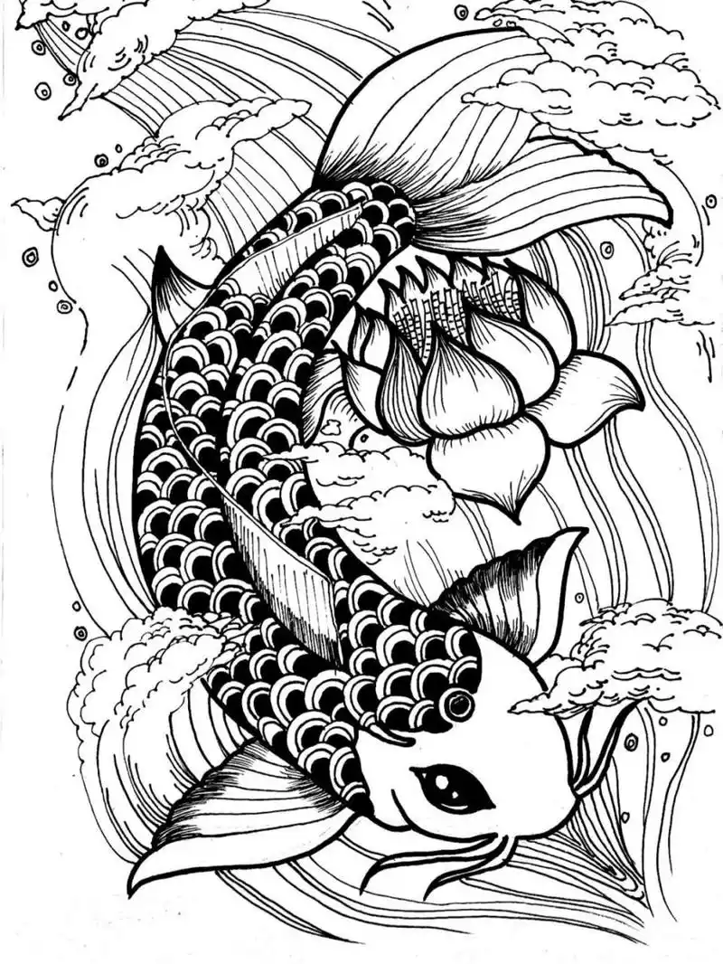 锦鲤|黑白线描绘画|含步骤原创 黑白线描95|锦鲤 儿童成人均可绘画