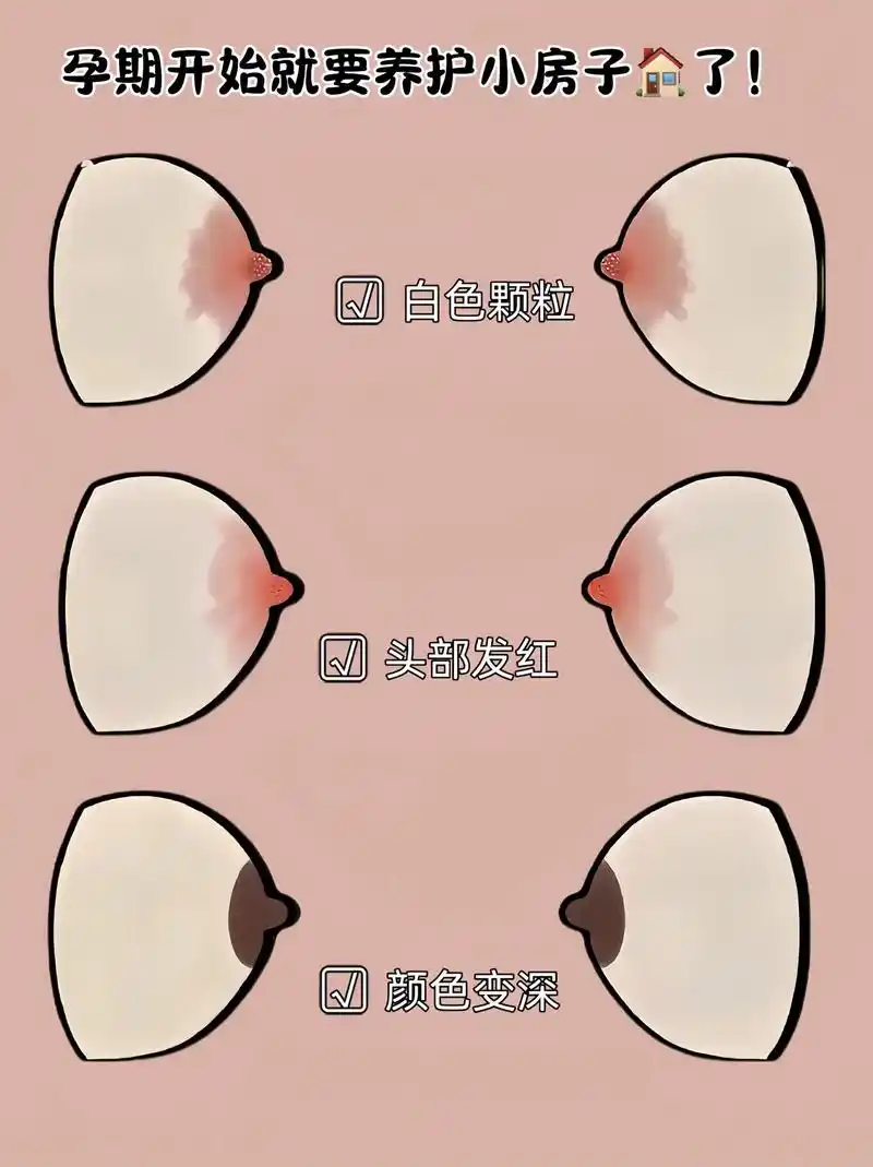 亲喂cp羊脂膏,新手宝妈一定要买60|||已经怀孕的孕搭子们