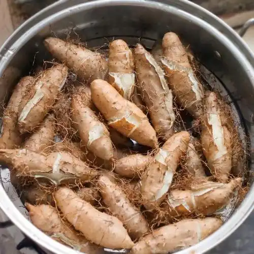 有谁吃过这种糯糯的毛薯