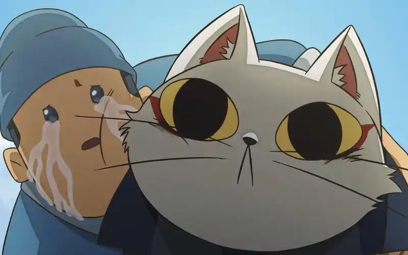 没有感情全是猫爷表情包!第二季快快来