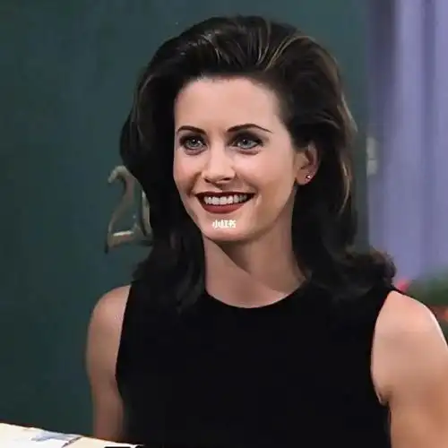 老友记自截头像monica绝美