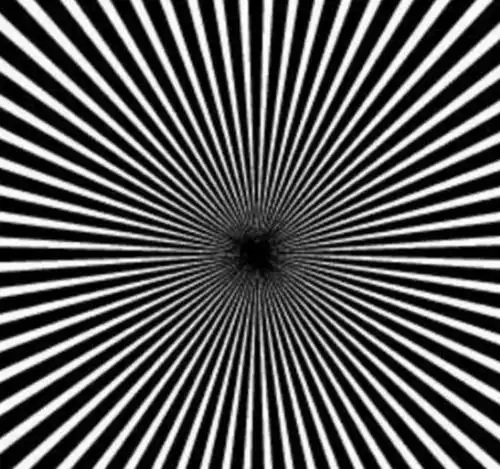 心理测试:下面3张图哪张在动?测出你大脑中的天才成分!