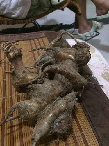 请问这是什么树根?据说是一种刺树的根,是一种中药,哪位高人知道