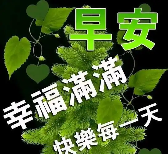 早晨问安世界虽残酷但只要你愿意走总会有路早上好